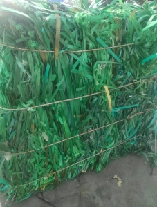 出售PET打包带毛料，聚酯打包带毛料