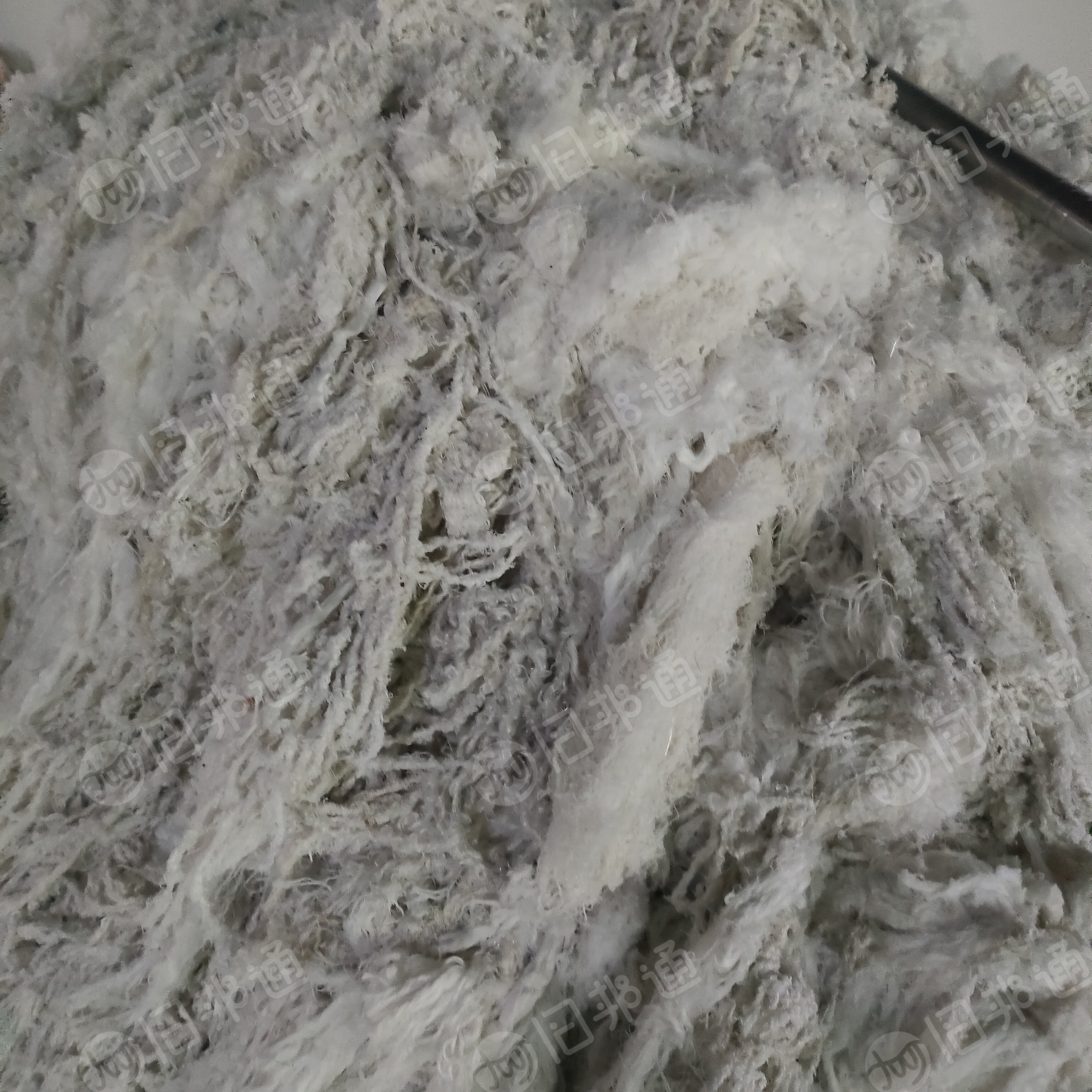 出售清洗甩干大白纯涤造粒,开花料