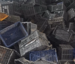 长期供应pp水果框破碎料，黑色，白色，蓝色破碎料