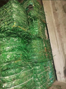 常年出售PET打包带废料