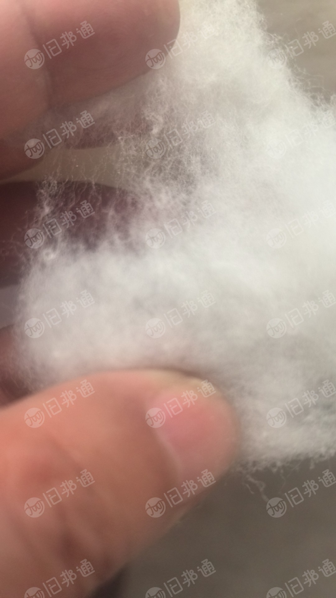精梳棉,毛衣料开松棉,出售