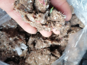 出售沙桨，废纸桨