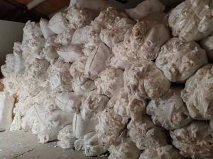 长期出售纯棉，粘胶、无纺布下脚料，天丝下脚料，全粘胶下脚料