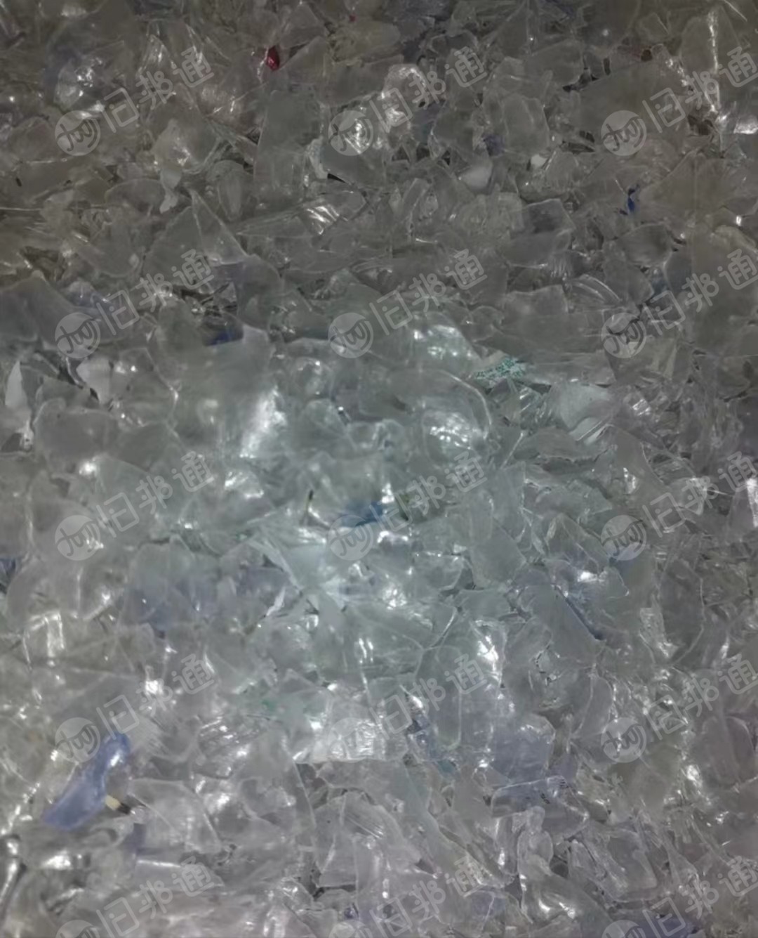 pet蓝白冷洗瓶片,现货10吨,长期出售