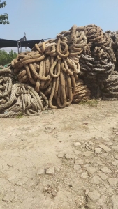 长期大量出售二手缆绳，涤纶缆绳，丙纶缆绳都有