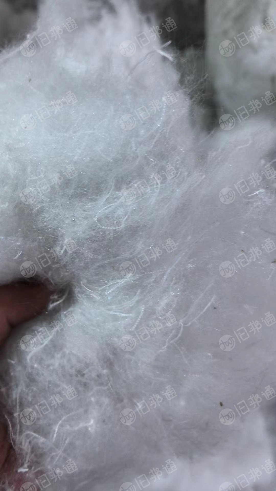 出售气囊布开花料,涤纶气囊布开松棉,常年有货