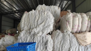 长期大量出售开松好的丝绵，枕芯棉，丝绵开松料