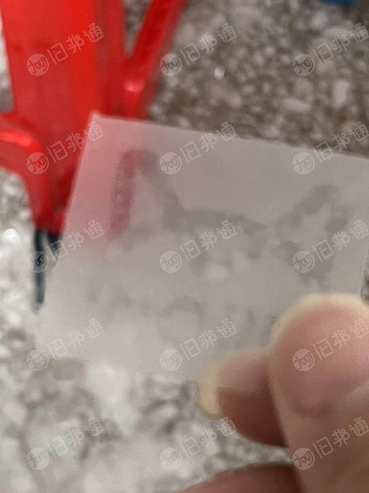 长期出售烫图片,内衣烫图烫标撕下来的