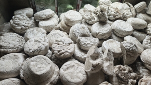 出售泡沫热熔快，现货20吨