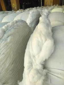 牛仔退色95棉，牛仔开花棉，出售