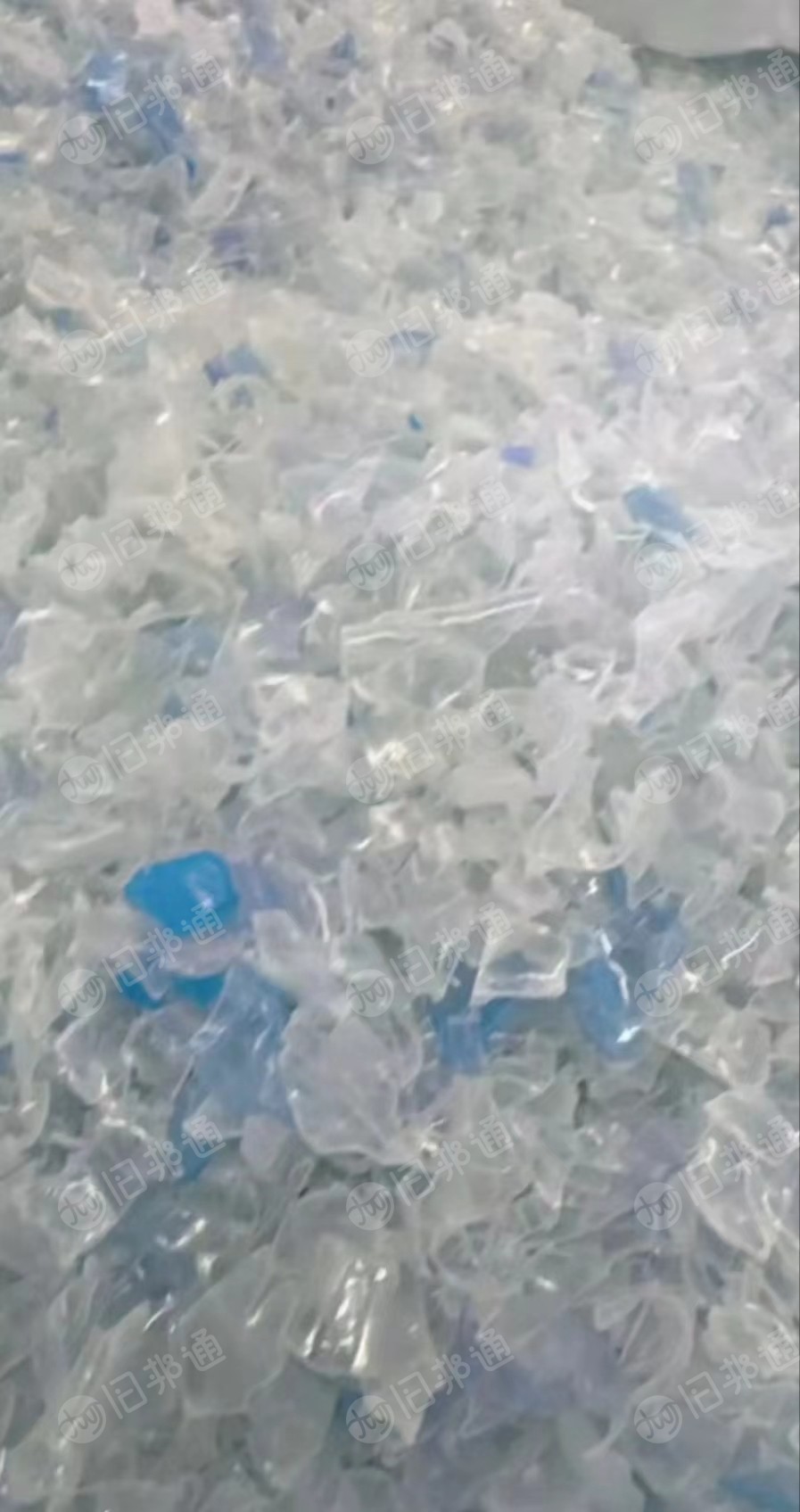 热洗蓝白瓶片,纯白瓶片,长期有货出售