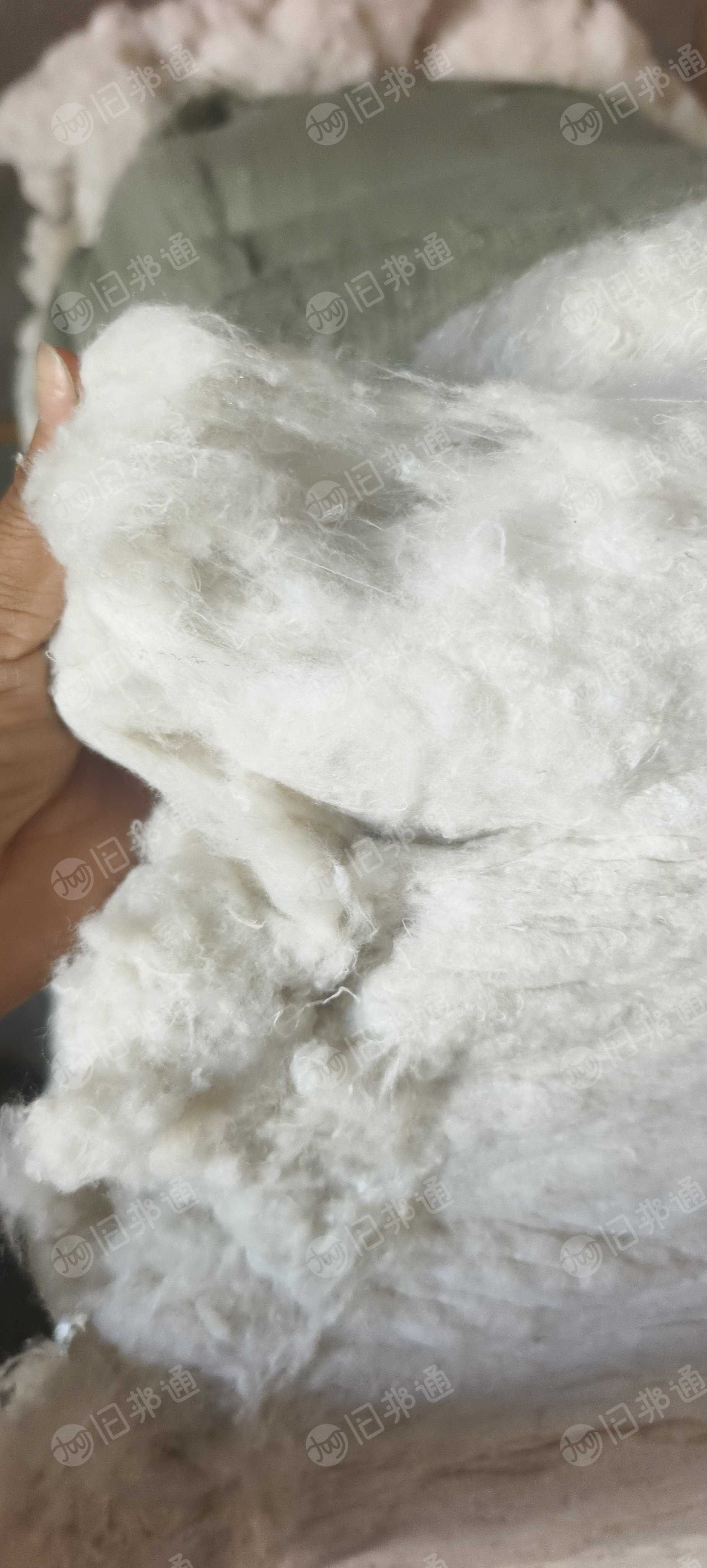 长期供应白色化纤开花棉