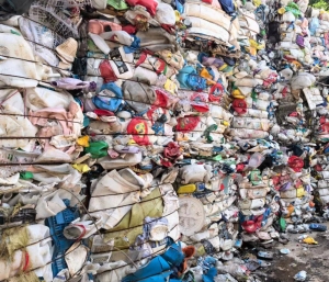 花白料含大白，现货一挂，长期出售