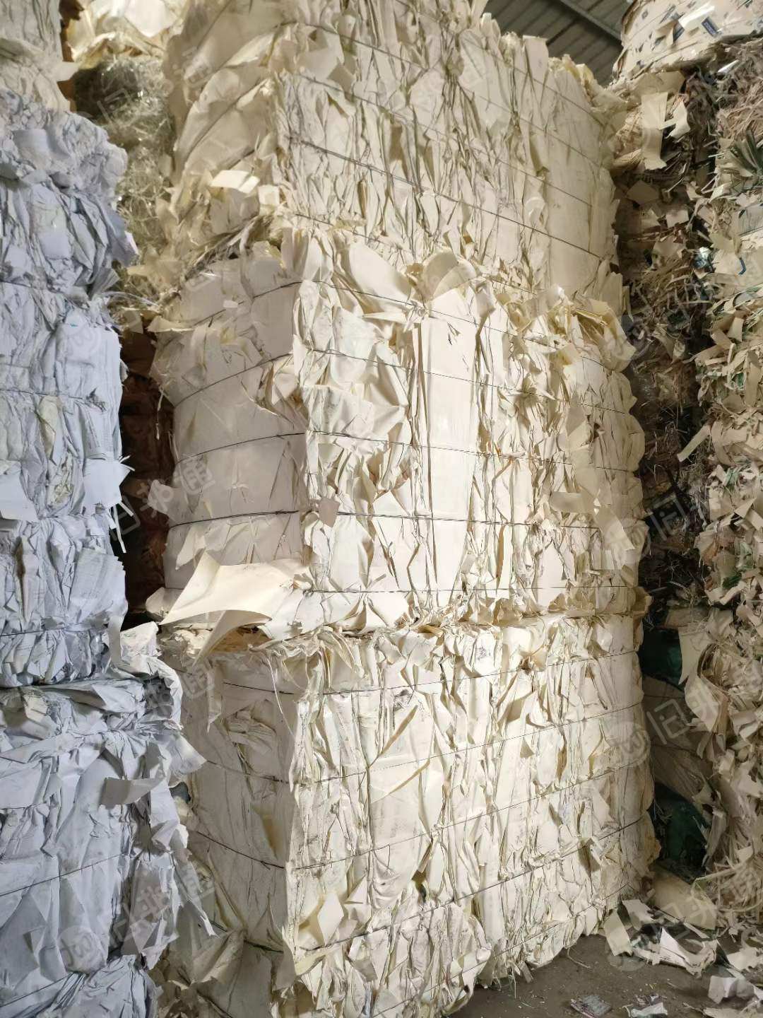 出售纯白口杯纸