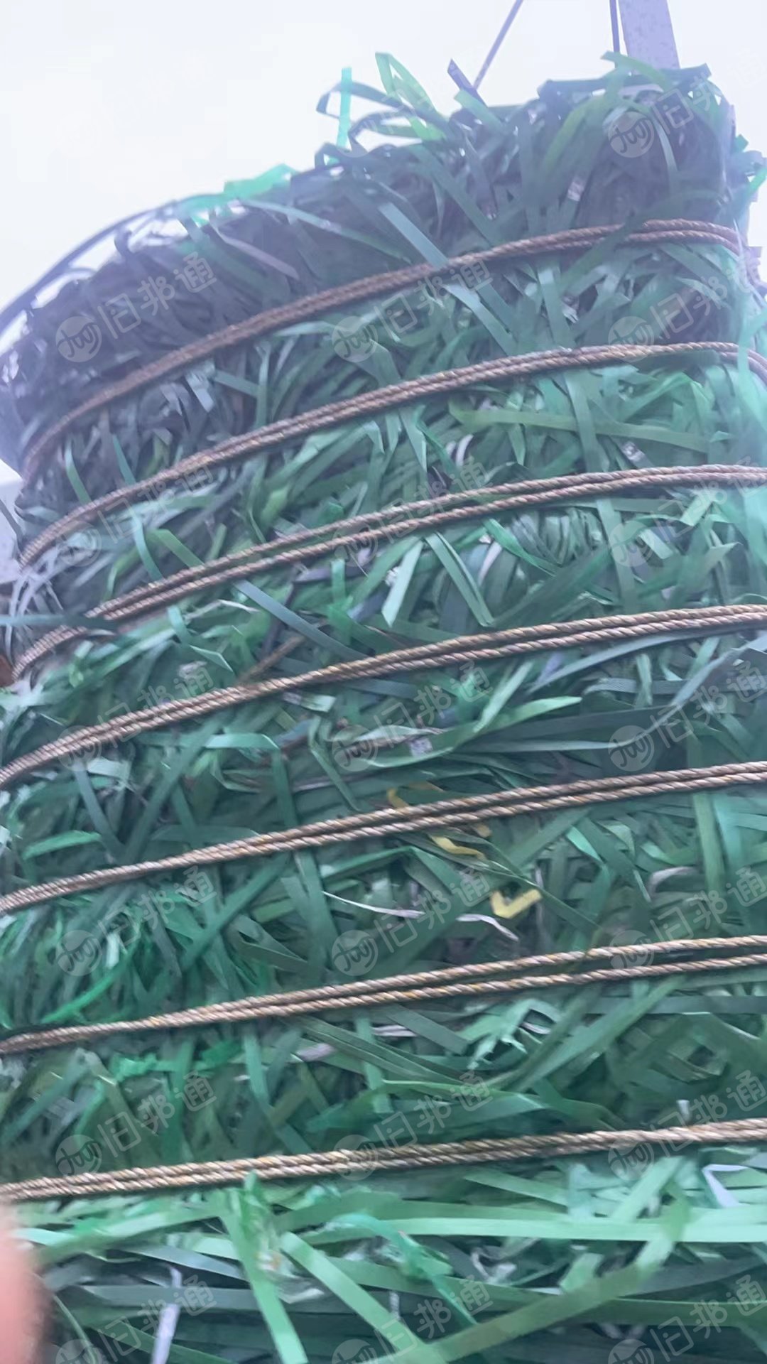 聚酯打包带毛料长期出售,现货9.6一车