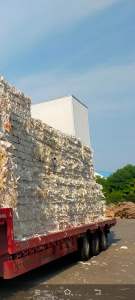 大量求购小花口杯纸