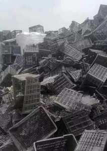 pp黑色水果筐破碎料，现货十来吨，现货出售