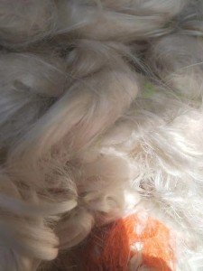 出售蚕丝线下脚料