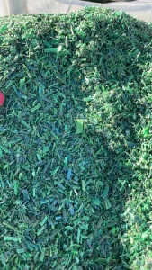 出售PET打包带破碎料，水洗甩干