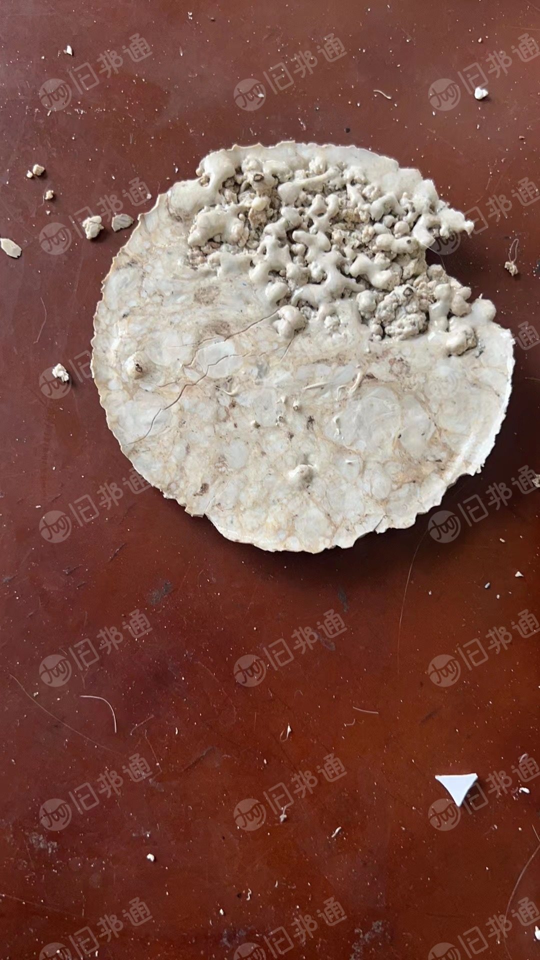 出售涤纶普白二级水丝泡料,涤纶泡料,月供1000吨以上