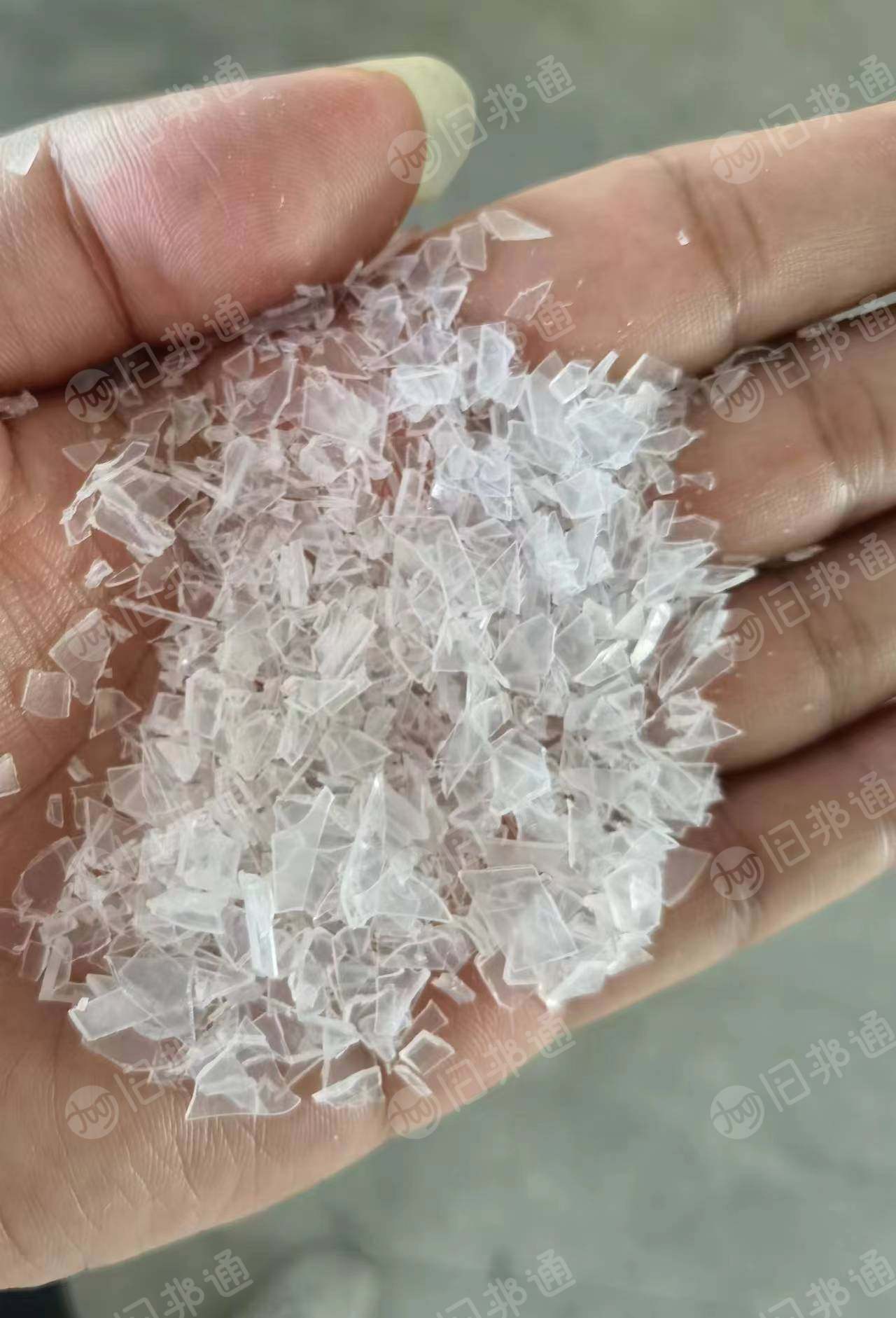 长期出售透明PP水口破碎料,果冻杯破的,包上机