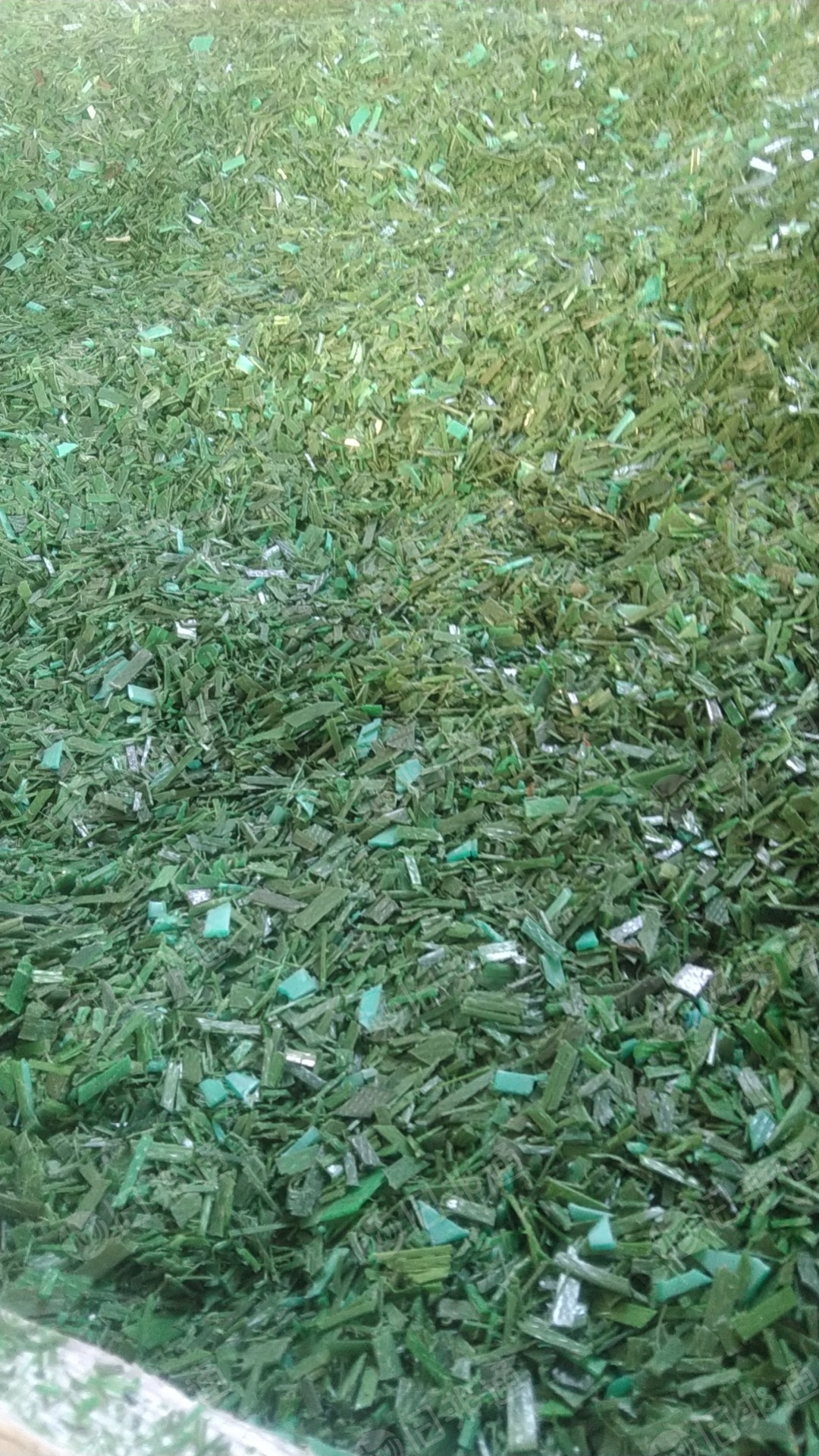 长期收购绿色,黑色聚酯打包带,塑钢线,棉包带,化纤带废料