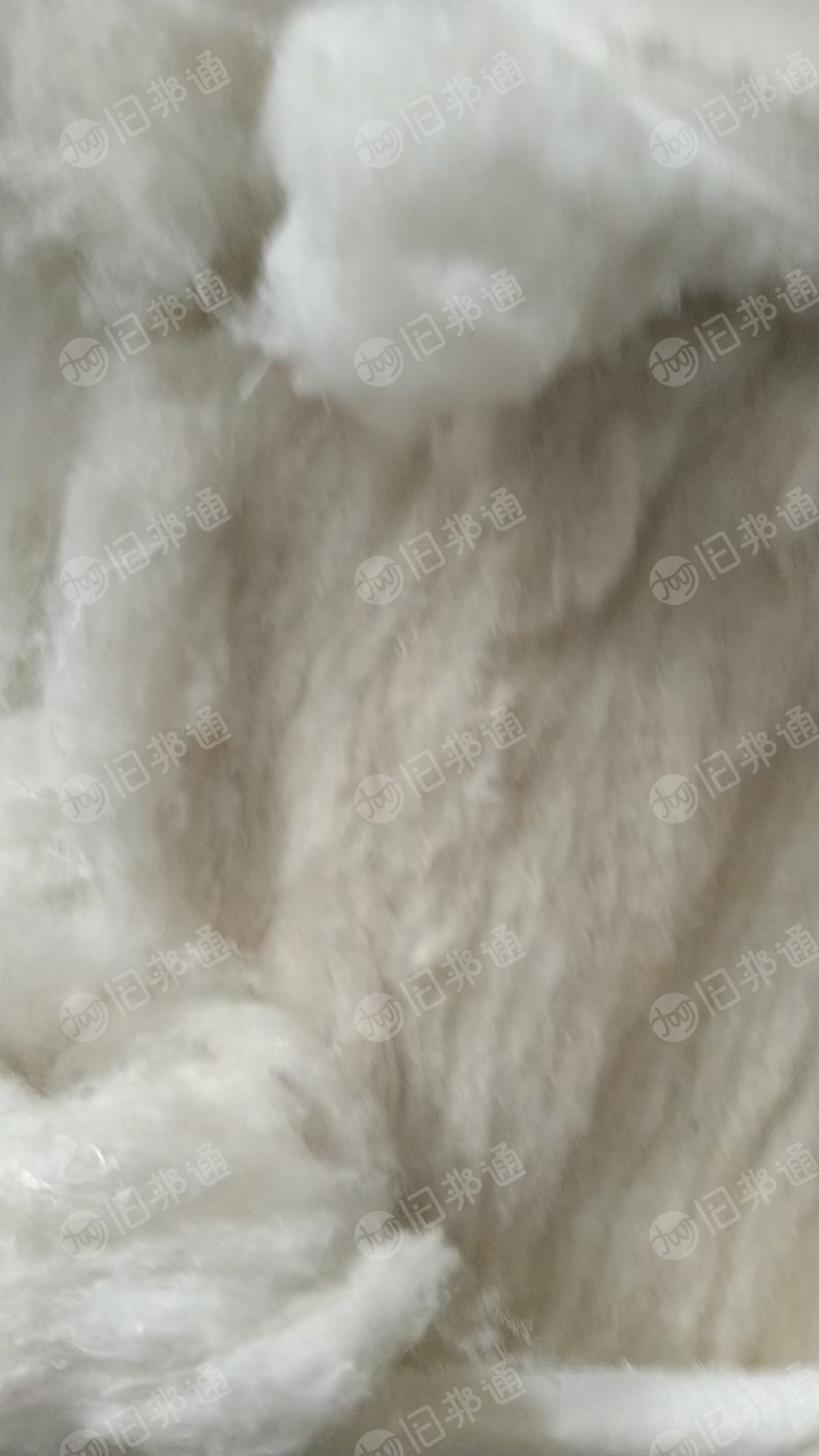 出售织布厂下来的干丝，梳棉机开的棉包，现货50吨