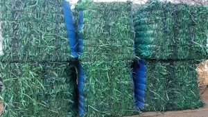 长期出售pet绿色打包带毛料，现货40吨