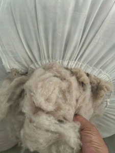 出售混合绒，羊绒约占30%，其他绒占70%，现货有几十吨，货在河北清河