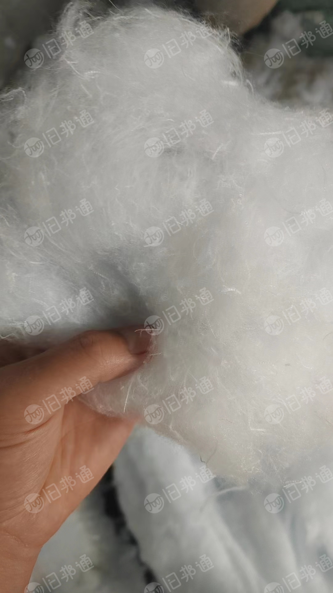 回收开松好的丝棉,废棉 要求棉丝粗点的,棉硬,回弹好的,蓬松度好,做棉片用