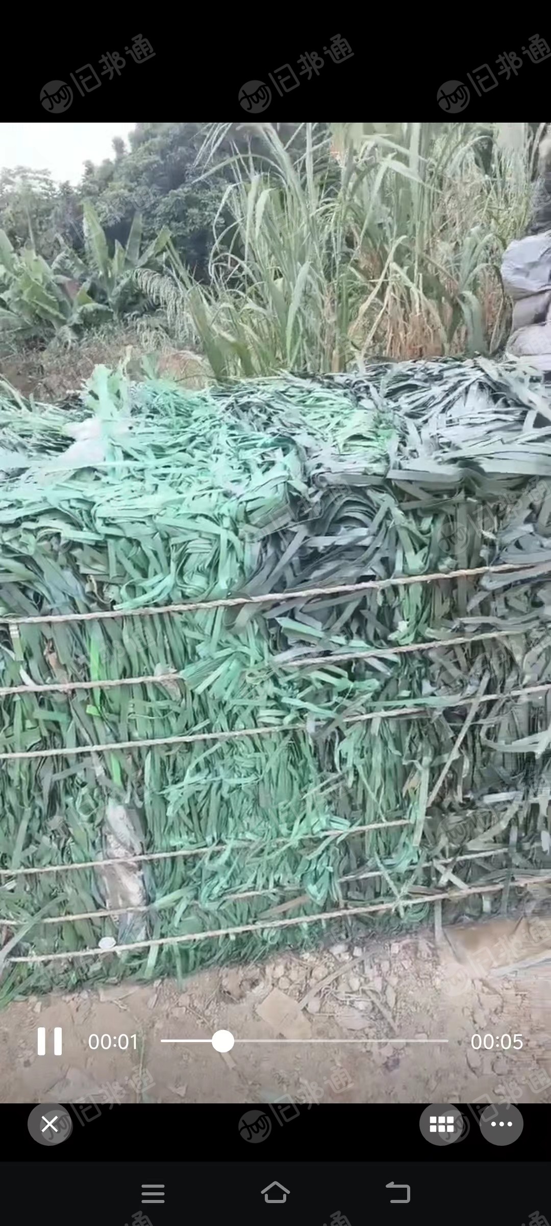 PET打包带毛料长期出售,月供几吨 。找漳州周边客户
