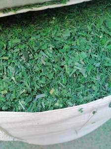 出售PET绿色打包带破碎料，月出100吨 