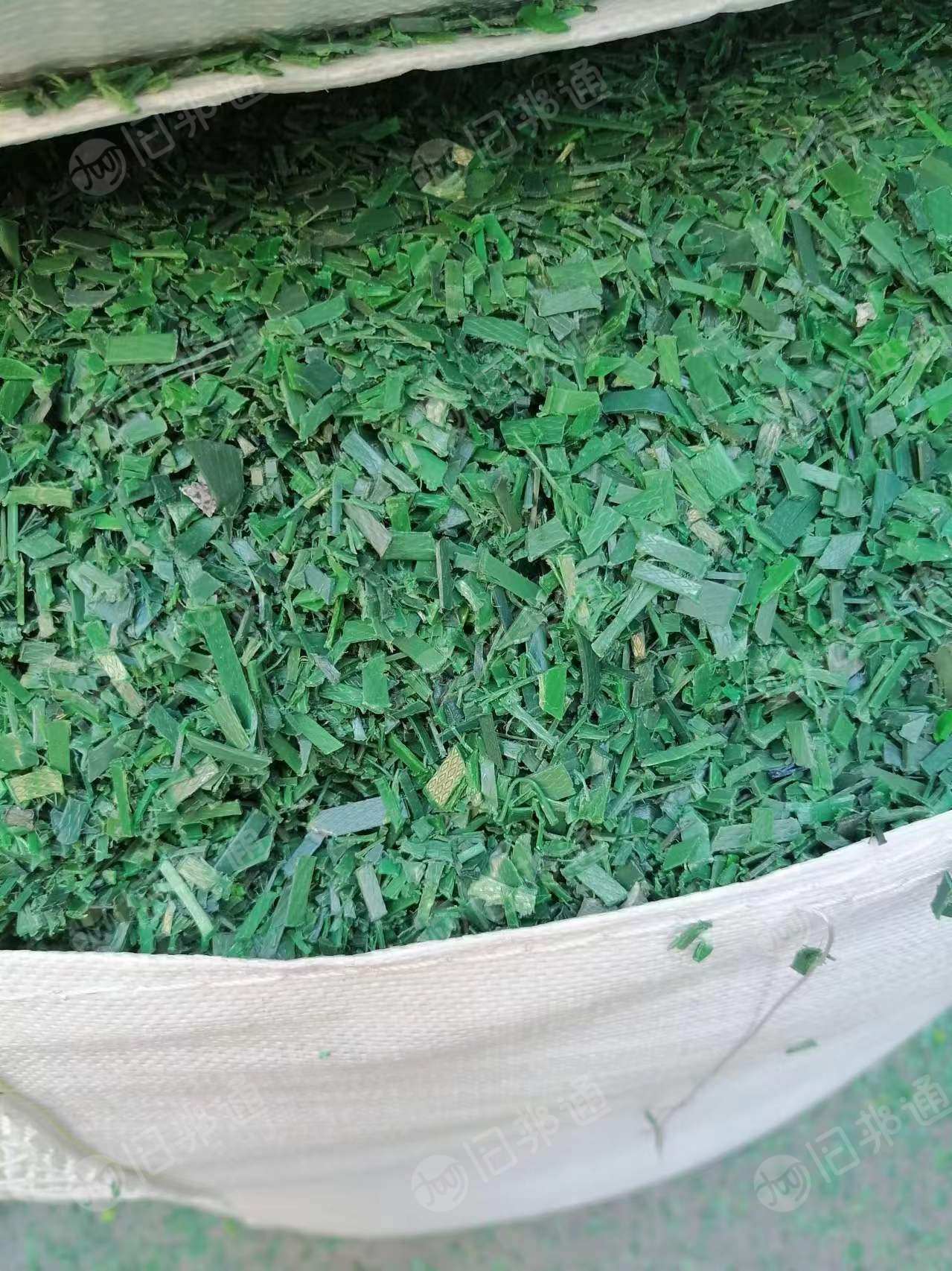 出售PET绿色打包带破碎料,月出100吨