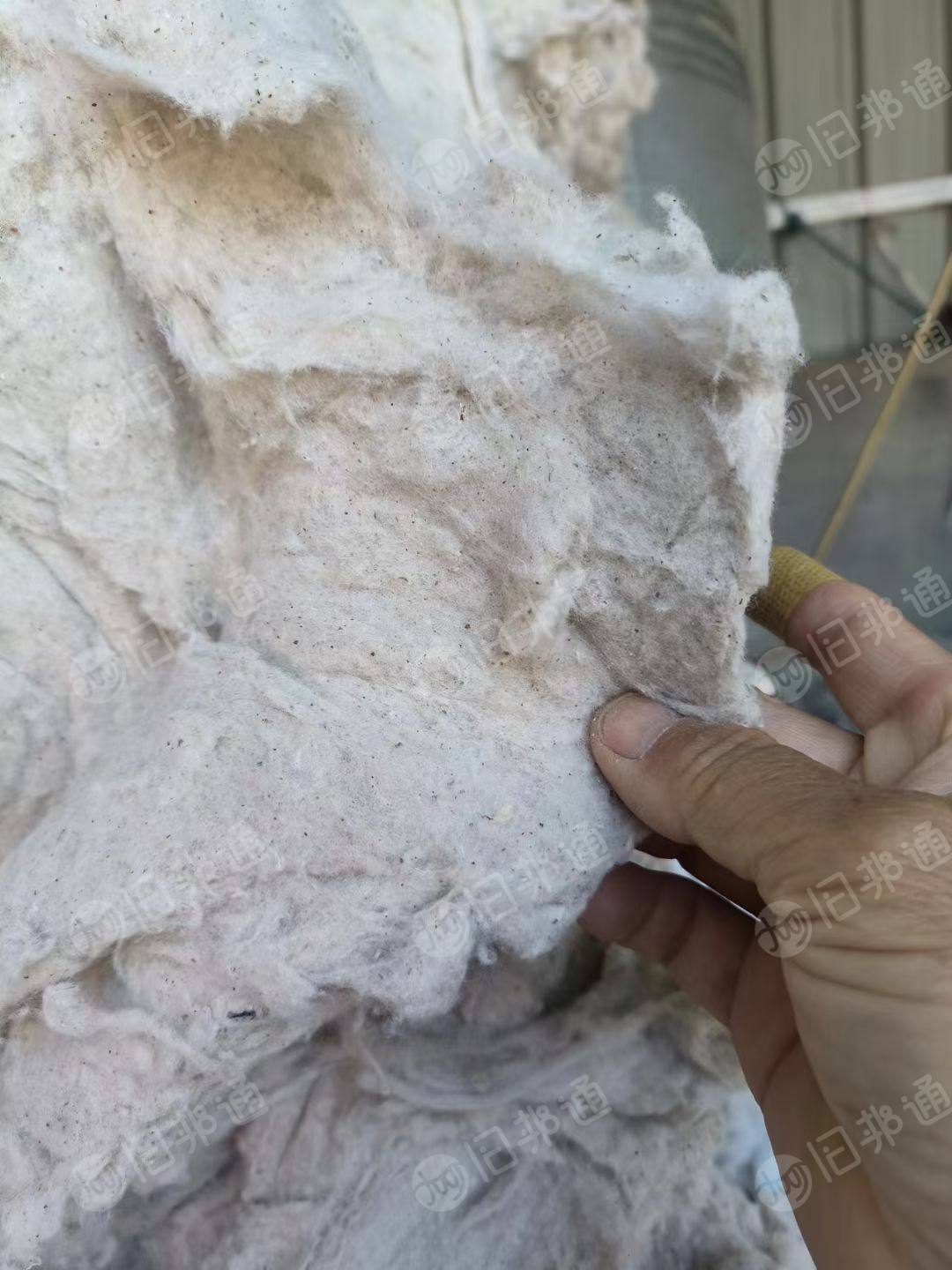 出售火烧棉,回收棉,厂子倒闭了,现着急出售