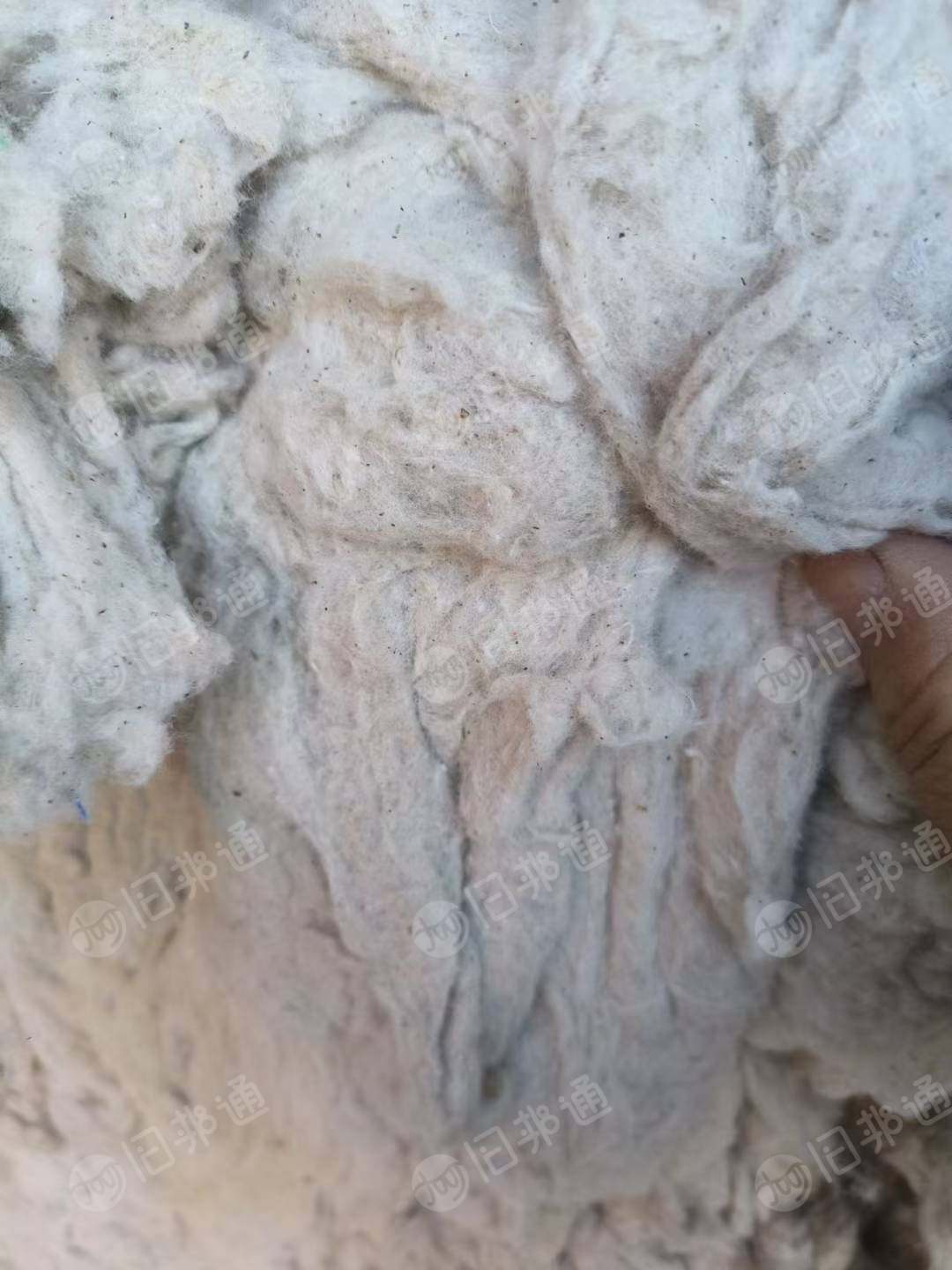 出售火烧棉,回收棉,厂子倒闭了,现着急出售