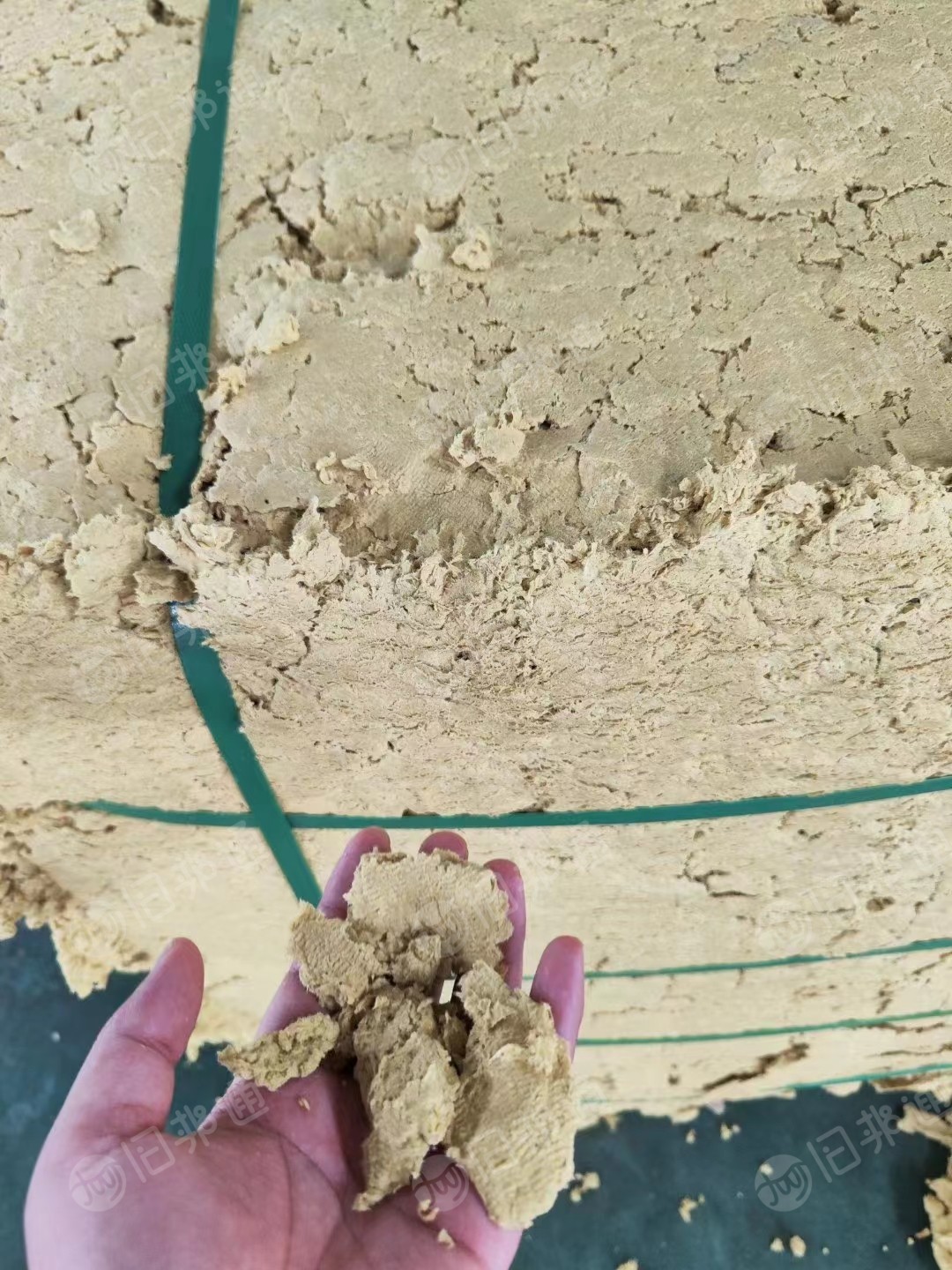 出售淋膜纸浆,无胶无杂,大量现货