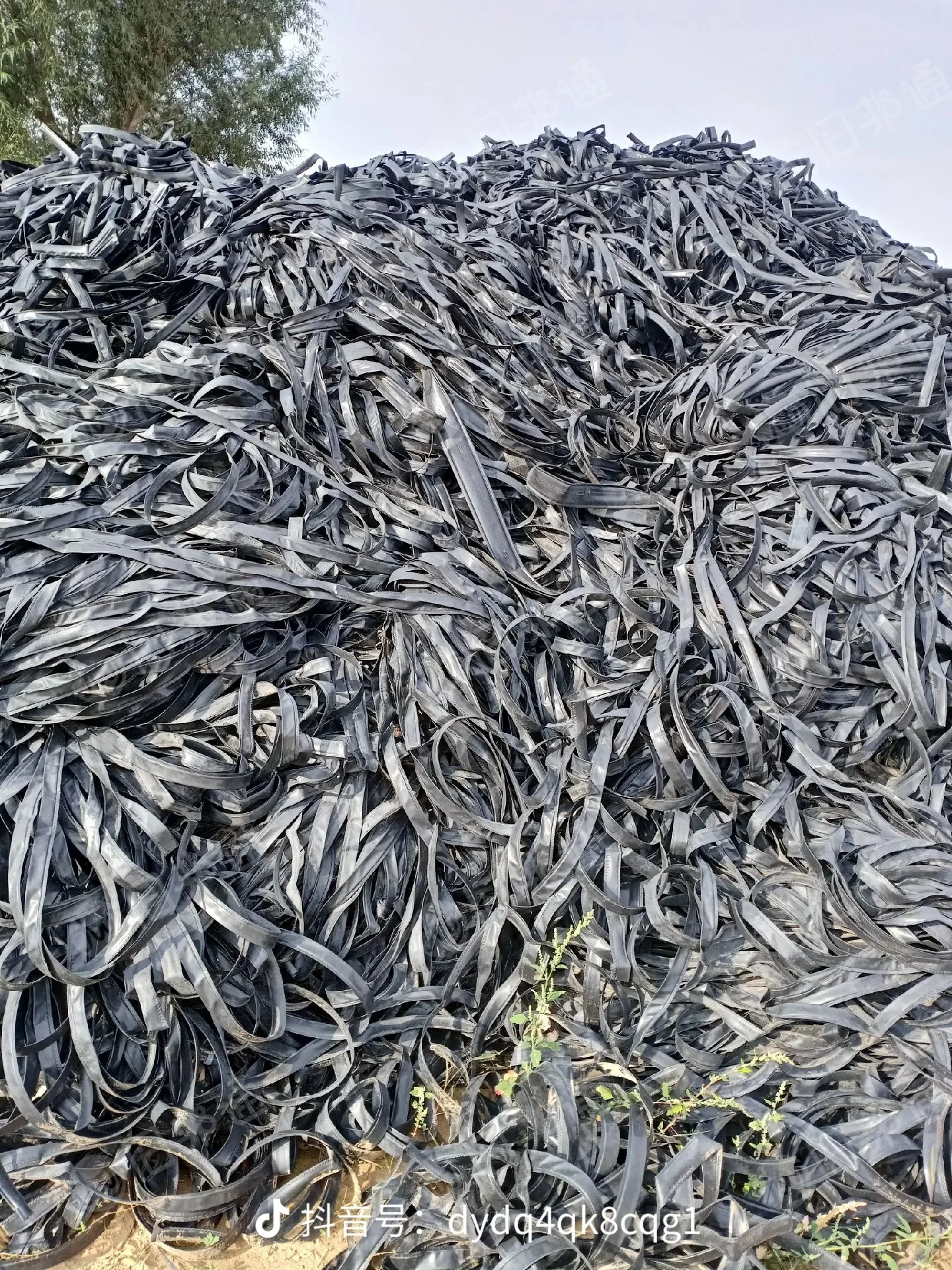 大量收购花膜,滴灌带,白色编织带月需400吨