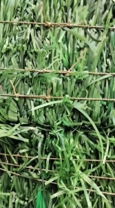 出售PET打包带毛料，聚酯打包带压块