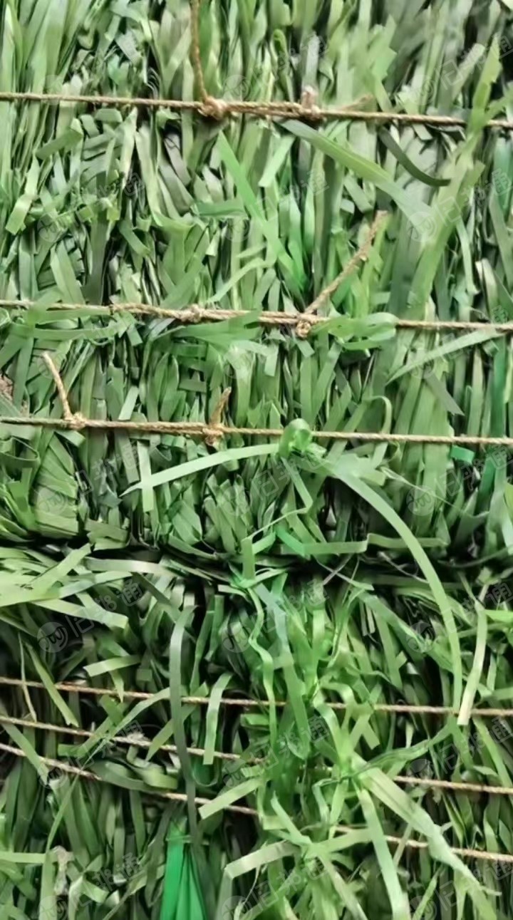 出售PET打包带毛料,聚酯打包带压块