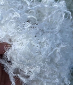 售涤纶长丝，纺织厂下来废丝，含水量约35%以下，每月都有150吨左右