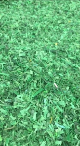 出售PET打包带破碎料，聚酯打包带破碎料