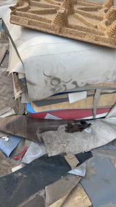 地板革，库存地板革，出售