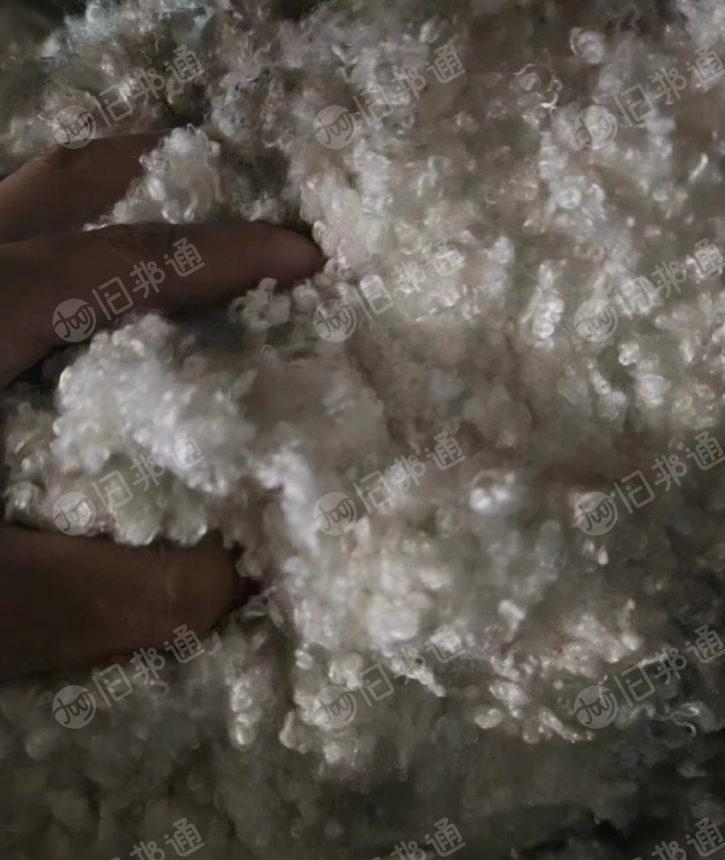 出售涤纶短纤,现货10吨,货在浙江湖州