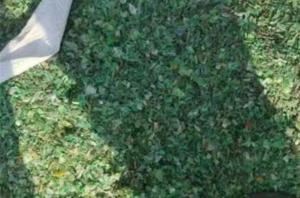 做pet打包带不做了，剩下来的拌好的料，干粉水分打包带和绿片混合料都可以