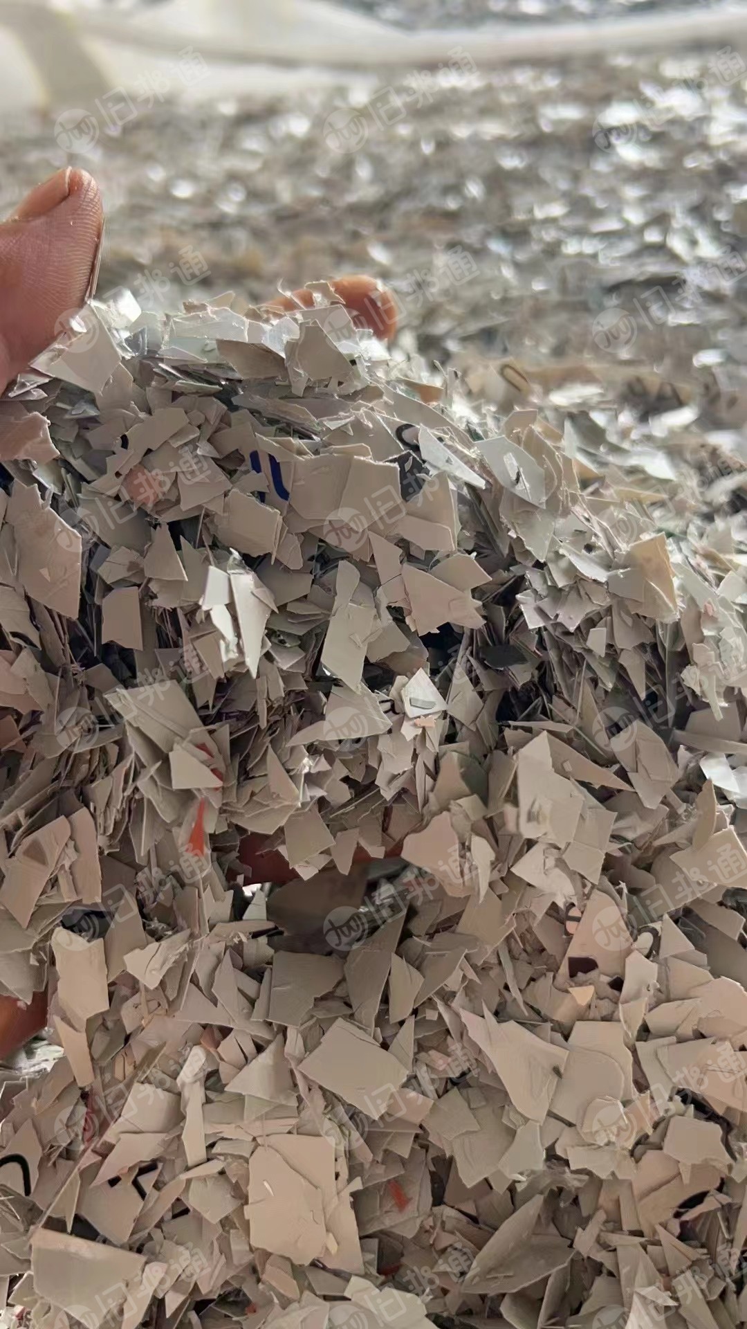 出售PET膜破碎料,无胶的,各种颜色
