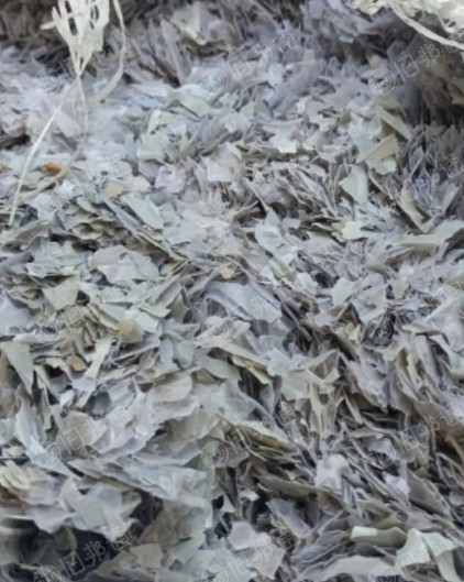 长期出售PVC秧盘毛料和破碎料,破碎料现货100吨,毛料200吨左右