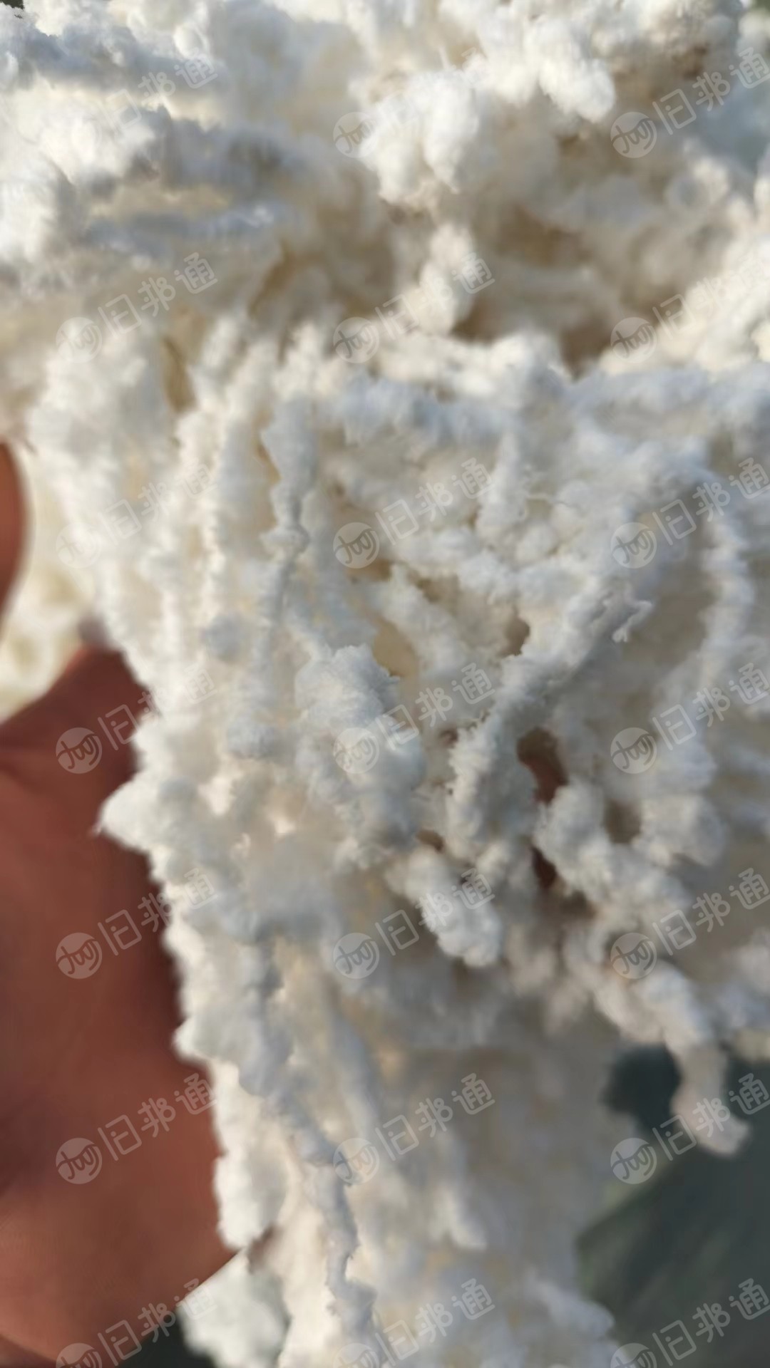 出售氨纶水丝,白色,现货8吨,月供15吨,涤纶干丝,氨纶干丝,长期有货