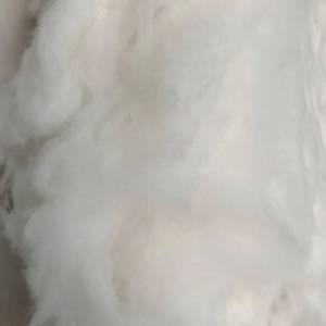 长期出售95开花棉， 月供五百吨