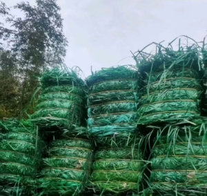 出售PET打包带毛料