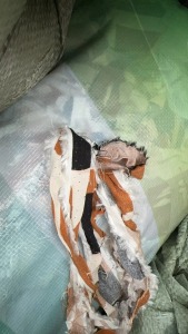 出售废布，棉布，白棉布，浅色，漂水，长期有货